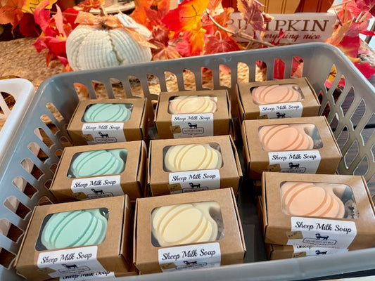 Harvest Pumpkin Sheep Milk Soap