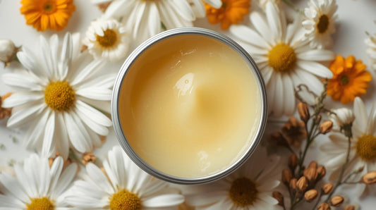 Lanolin Balm Chamomile and Calendula 2 oz tin